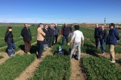 06.-Explicaciones-de-Enrique-Apolo