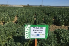 10.-Proyecto-europeo-EUCLEG
