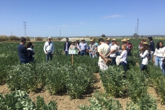 16.-Visita-al-proyecto-EUCLEG