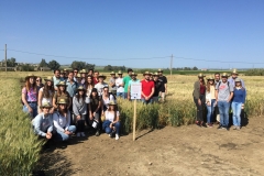 21.-Visita-ETSIAM-Córdoba-a-TRIDURAND