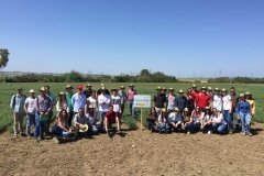 26.-Ensayos-de-garbanzo-LEGUMCAL