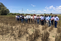 29.-Visita-de-Cocereales-a-EUCLEG