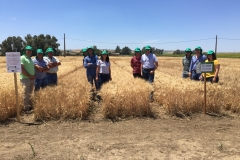 34.-Técnicos-de-Agrovegetal-en-bandas-TRIDURAND
