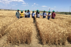 35.-Con-ROTA-y-MONTEMAYOR