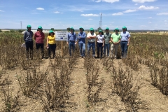 36.-Ensayos-de-EUCLEG-maduros