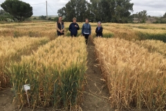 40.-Visita-investigadoras-del-IRTA