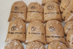 50.-Muestras-de-calidad-para-proyecto-TRIDURAND