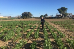 30. Toma de datos en proyecto ProFaba