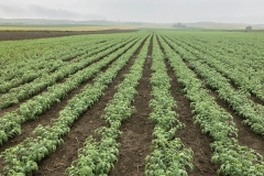 48. ITUCI en Campo de Tejada