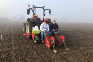 01-Sembrando-ProFaba