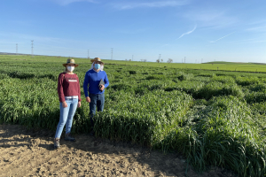 07-Yolanda-y-Francisco-en-Agrisost