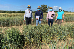 16-Visita-USE-a-Diferenciales