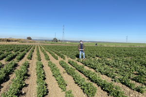 23-Ensayos-Proyecto-ProFaba