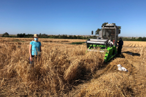 24-Cosecha-ensayo-Agrisost