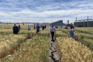 16.-Visita-a-los-campos-de-ensayos