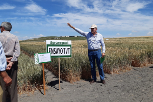 22.-Ensayos-Preliminares-TVT