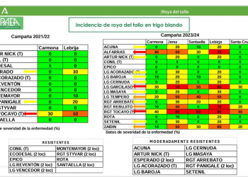 16.-Severidad-por-roya-del-tallo