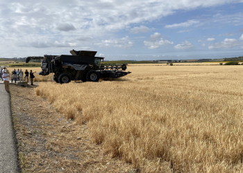20.-Cosechadora-en-el-Rancho-DEMOFARM