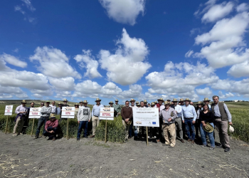 1_09.-Ensayos-del-Grupo-Operativo-TRICABLAND-en-Jerez