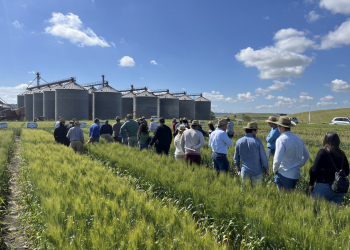 2_10.-Visita-a-bandas-comerciales