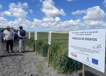 2_11.-Visita-ensayos-TRICABLAND