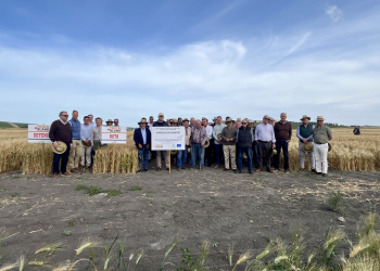 2_25.-Visita-a-ensayos-de-TRICBLAND