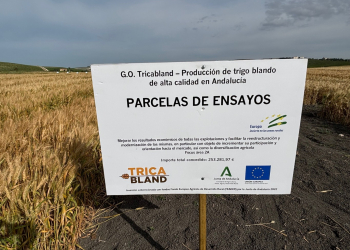 2_26.-Grupo-Operativo-TRICABLAND