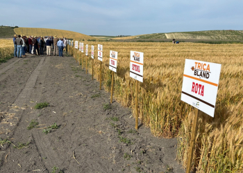 2_28.-Antonio-explicando-variedades-de-harineros