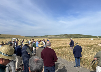 2_31.-Explicando-ensayos-de-Agrovegetal