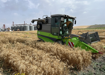 2_34.-Jerez-ensayos-cosecha-1