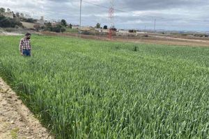 04.-Produccion-de-Rumboso