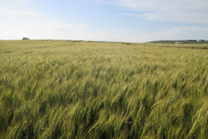 16.-Prebase-de-SetenilSetenil