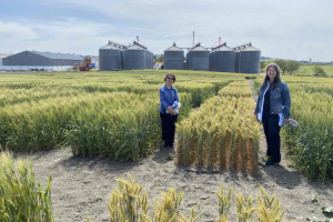 20.-Visita-investigadoras-IRTA