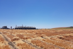 22.-Ensayos-cosechados-