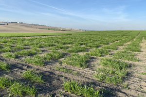 03-Variedades-diferenciales