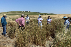 17-Visita-a-diferenciales-de-royas