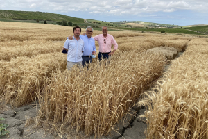 19-Visita-responsables-AETC