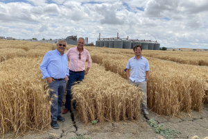 20-Visitando-ensayos-maduros