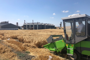 22-Cosecha-en-San-Dionisio