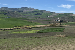 03.-Panoramica-de-ensayos-