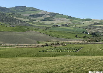 01.-Los-Villalones-2024