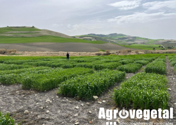 04.-Ensayos-de-duros