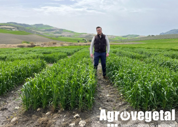 05.-Duros-en-Los-Villalones