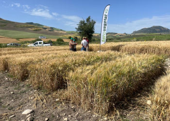 06.-Visita-agricultores