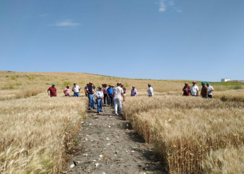 08.-Paco-explicando-los-ensayos-a-socios-de-Los-Remedios