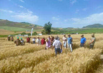 09.-Jornada-para-clientes