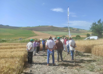 11.-Jornada-divulgativa