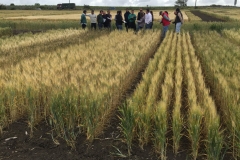 01.-Visita-RAEA-Jerez