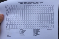 02.-Variedades-trigo-duro-2019