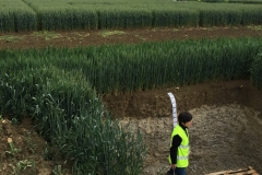 25.-Calicata-en-GENVCE-2019